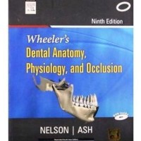 Wheeler'S Dental Anatomy Physiology and Occlusion 9th Edition by Nelson Wheeler'S Dental Anatomy Physiology and Occlusion 9th Edition by Nelson