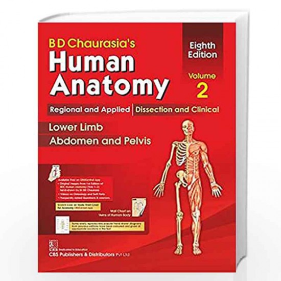 HUMAN ANATOMY 8th Edition  VOL 2 REGIONAL AND APPLIED DISSECTION AND CLINICAL LOWER LIMB ABDOMEN AND PELVIS by BD CHAURASIAS 