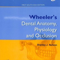 Wheelers Dental Anatomy Physiology and Occlusion 1st South Asian by Stanley J Nelson Wheelers Dental Anatomy Physiology and Occlusion 1st South Asian by Stanley J Nelson
