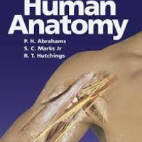 Mcminns Colour Atlas Of Human Anatomy 5th Edition by Abrahams 