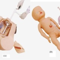 ADVANCED MANUAL DELIVERY MECHANISM DEMONSTRATION SIMULATOR 