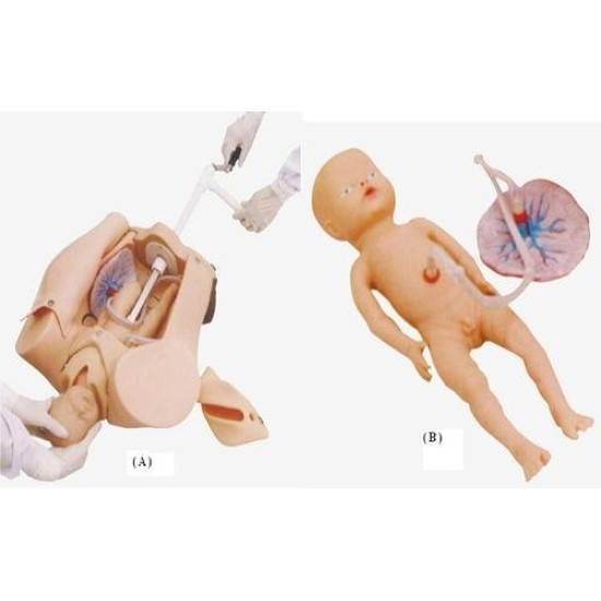 ADVANCED MANUAL DELIVERY MECHANISM DEMONSTRATION SIMULATOR ADVANCED MANUAL DELIVERY MECHANISM DEMONSTRATION SIMULATOR