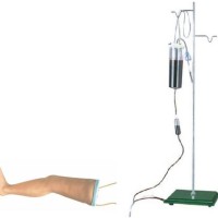 ADVANCED INTRAVENOUS TRANSFUSSION LEG MODEL by Starter Group 