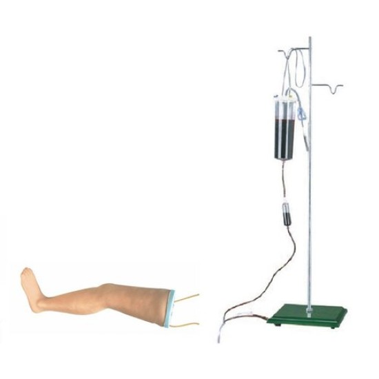 ADVANCED INTRAVENOUS TRANSFUSSION LEG MODEL by Starter Group 