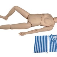 Basic Nursing Pharmacology Manikin by Starter Group 