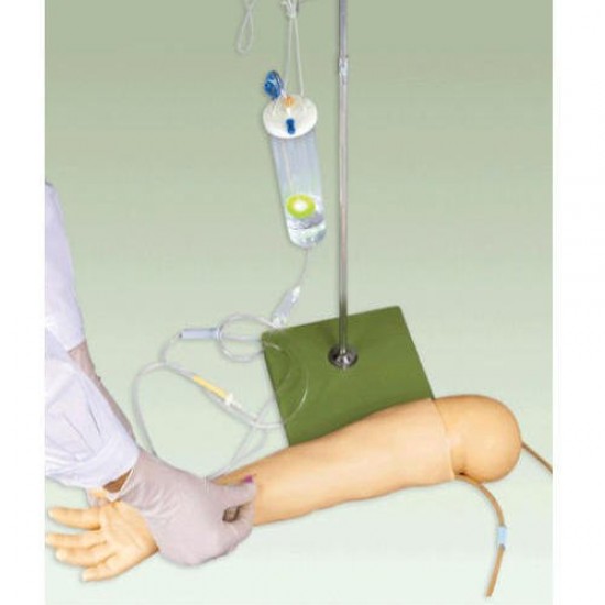 Multifunctional Child IV Traning Arm Model