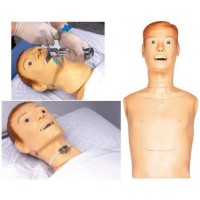 Nasogastric Feeding And Tracheal Intubation Simulator
