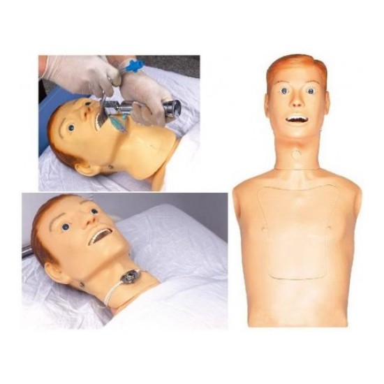 Nasogastric Feeding And Tracheal Intubation Simulator