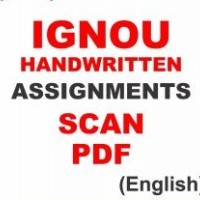 IBO-1 International Business Environment Solved Scan Assignment in English 2020-21