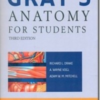Grays Anatomy For Students by Richard L Drake,Wayne Vogl, Adam W M Mitchell
