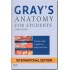Grays Anatomy For Students by Richard L Drake,Wayne Vogl, Adam W M Mitchell