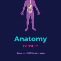 Anatomy Capsule Handwritten Notes 2020 by MED PG 