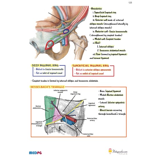 Anatomy Capsule Handwritten Notes 2020 by MED PG 