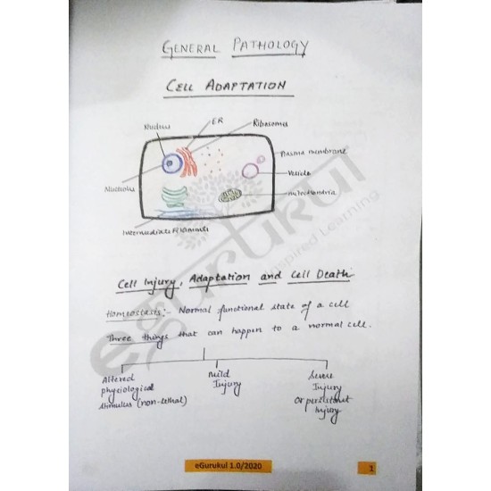 Pathology Colored Notes By E Gurukul