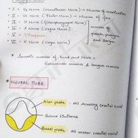 Anatomy Colored Notes 2020 by E-gurukul