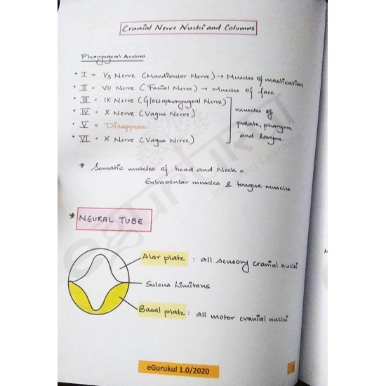 Anatomy Colored Notes 2020 by E-gurukul