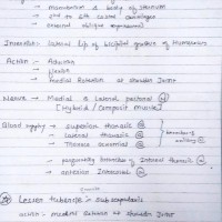 Anatomy Handwritten notes PDF by Dams 2020