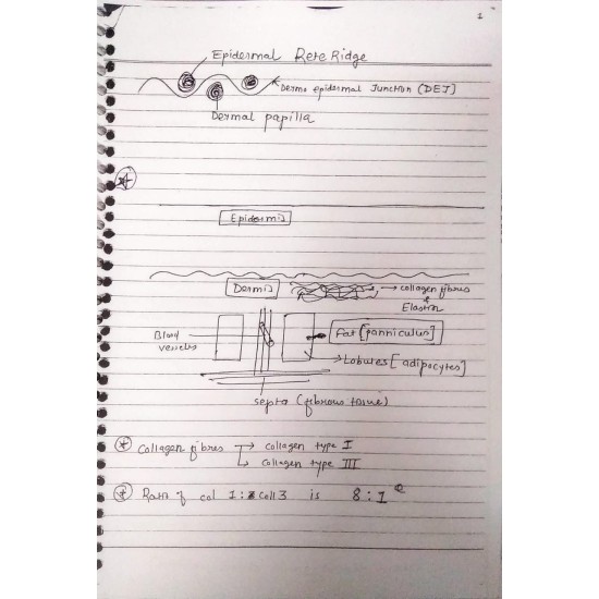 Dermatology Handwritten Notes PDF 2020 by Dams