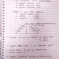 Ent Handwritten Notes PDF by Dams 2020
