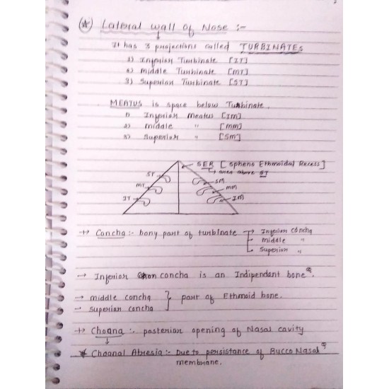 Ent Handwritten Notes PDF by Dams 2020