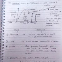 Medicine Handwritten Notes PDF 2020 by Dams Medicine Handwritten Notes PDF 2020 by Dams