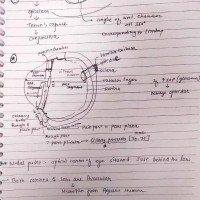Ophthalmology Handwritten Notes 2020 by Dams
