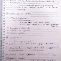 Pathology handwritten notes PDF 2020 by Dams