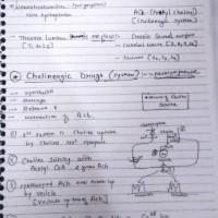 Dams Pg Medical Handwritten Notes by Dams Students 2020