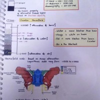 Radiology Handwritten Colored Notes 2020 by Dams Radiology Handwritten Colored Notes 2020 by Dams