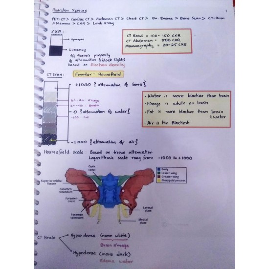 Radiology Handwritten Colored Notes 2020 by Dams 