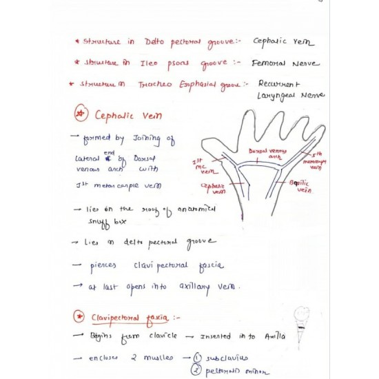 Dams handwritten Notes Colored 2020 all 19 Subjects included in this package