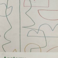 Anatomy Colored Notes 2020 by marroww