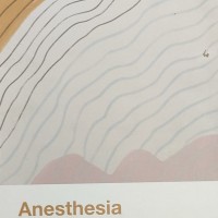 Anesthesia Colored Handwritten Notes 2020 by Marroww