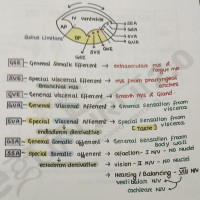 Anatomy 2.0 Colored Notes 2021 by Dr. Ashwani Kumar Egurukul