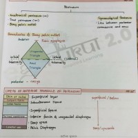 Gynaecology 2.0 Colored Notes 2021 by Dr. Vaidehi Desai Egurukul Gynaecology 2.0 Colored Notes 2021 by Dr. Vaidehi Desai Egurukul