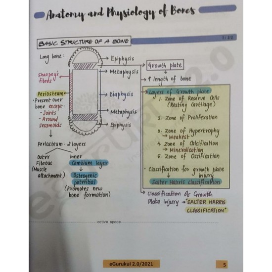 Orthopaedics 2.0 Colored Notes 2021 by Dr. Sushil Vijay Egurukul 