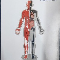 Anatomy Colored Notes 2022 by Doc Tutorialss 