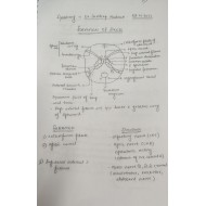 Dams Handwritten Notes for Dental Pg 2022 for Mds Entrance by Dams