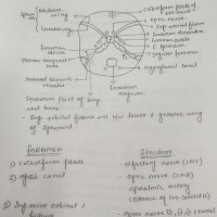 Dams Handwritten Notes for Dental Pg 2022 for Mds Entrance by Dams