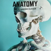 Anatomy E gurukul Notes 3.0 by DBMCI