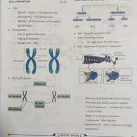 Biochemistry E gurukul 3.0 Colored Notes by DBMCI