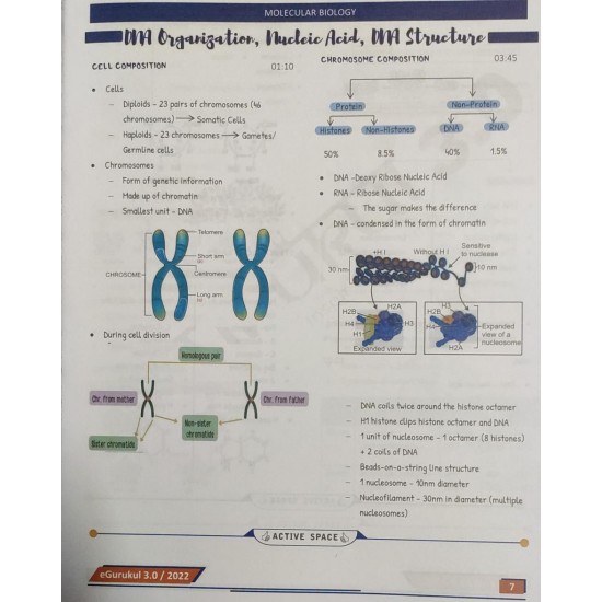 Biochemistry E gurukul 3.0 Colored Notes by DBMCI