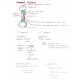 Anatomy Colored Handwritten notes by Dams 2022