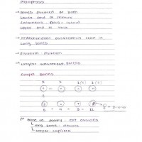 Anatomy Colored Handwritten notes by Dams 2022