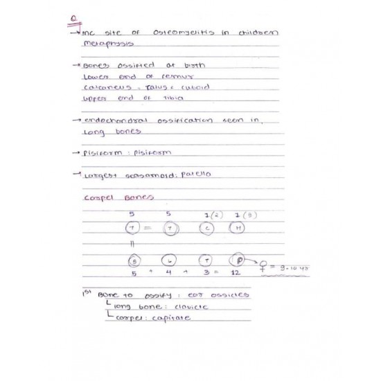 Anatomy Colored Handwritten notes by Dams 2022