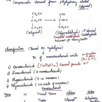 Biochemistry Colored Notes by Dams 2022