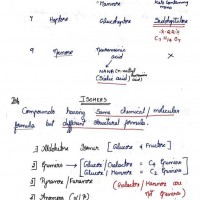Biochemistry Colored Notes by Dams 2022