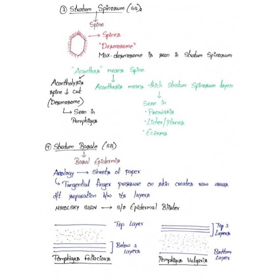 Dermatology Colored Notes 2022 by Dams