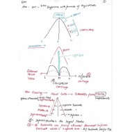 Ent Handwritten Notes by Dams 2022