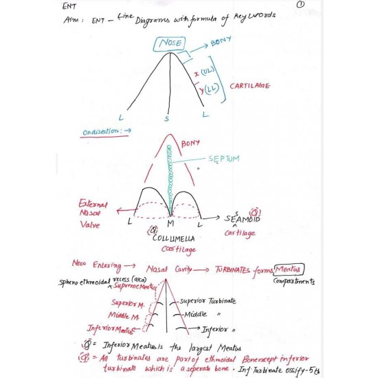 Ent Handwritten Notes by Dams 2022